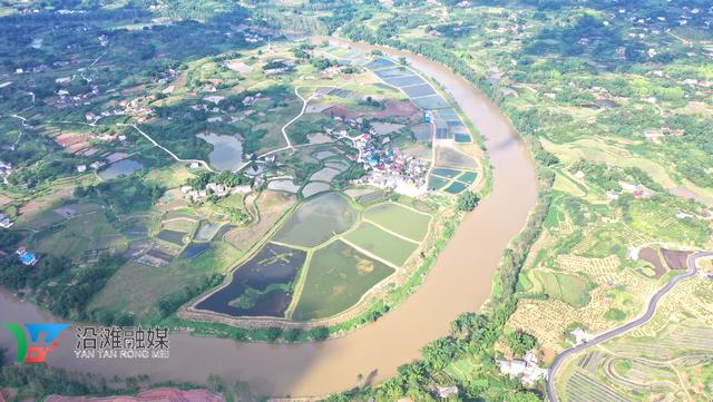 基层党支部创先争优活动计划,基层创先争优优秀党员评比方案