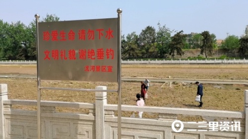 「小里帮忙」草坪改建停车位、工地受伤赔偿难……这些事情有回复