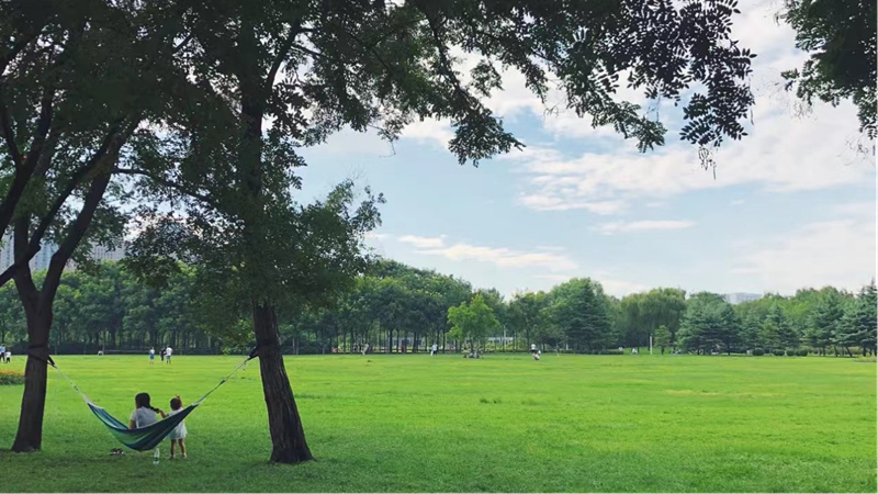 郑州周末自驾游好去处,郑州西三环游玩好去处都有哪些