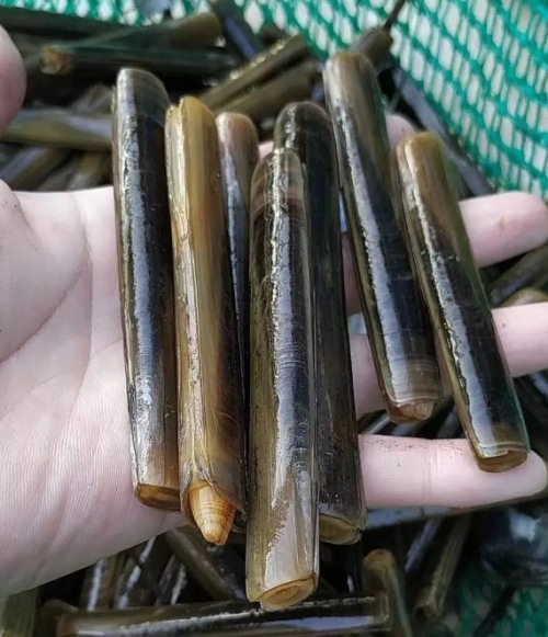 长海县旅游攻略海滩,长海县海岛赶海地点推荐