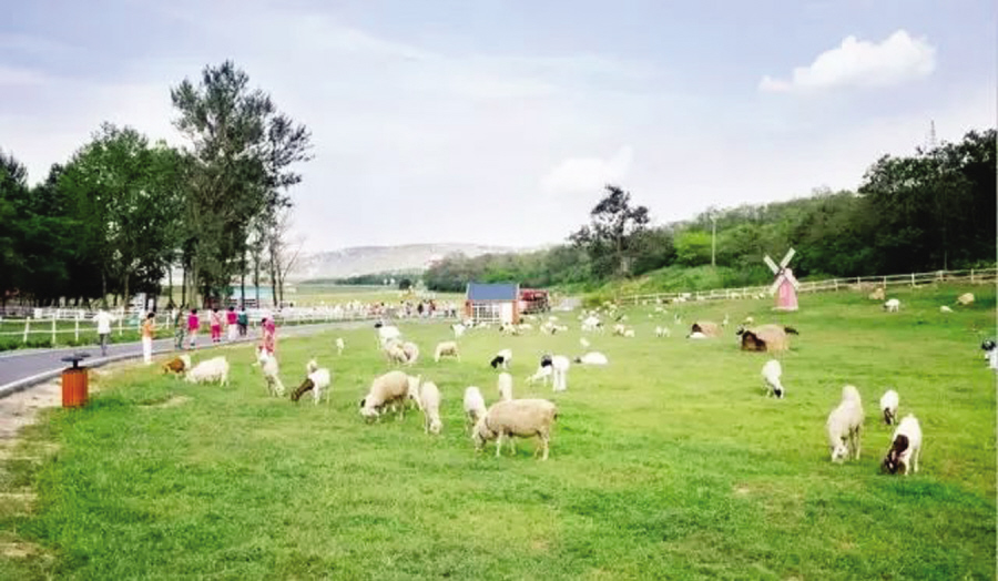 五一旅游最美的时光,五一出游天下最美的风景