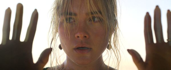 哈利「头埋私密处」激战二代黑寡妇!佛萝伦丝普伊大尺度床戏公开