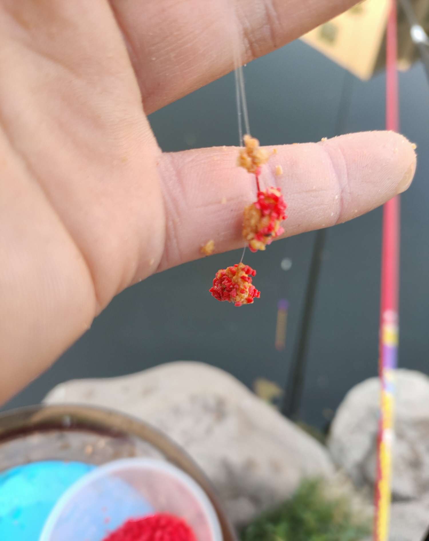 野钓避小鱼实战教学,小钩钓鱼如何避杂鱼