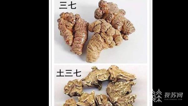 误服土三七中毒如何治疗,误食土三七对肝脏有影响吗