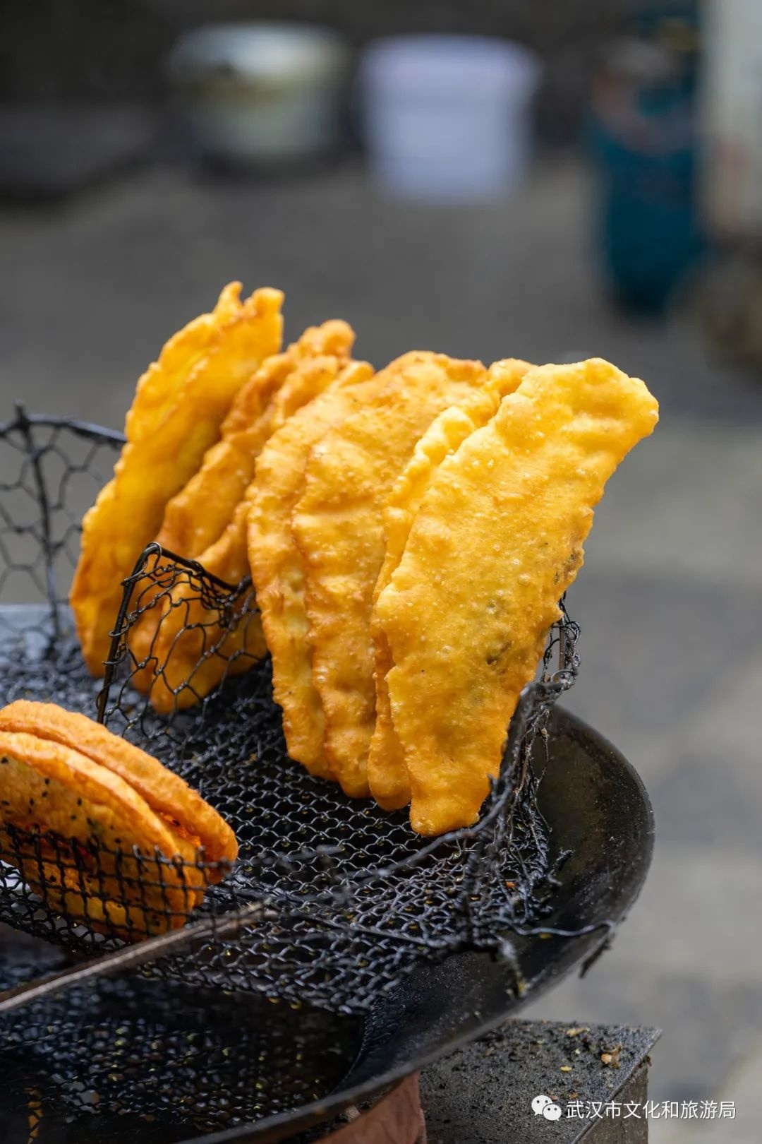 武汉十大必玩处,武汉十大儿童必玩地方