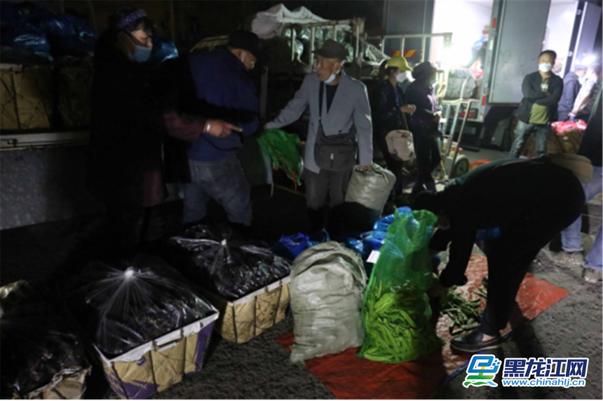 精品蔬菜批发市场图片,哈尔滨薛家蔬菜批发市场