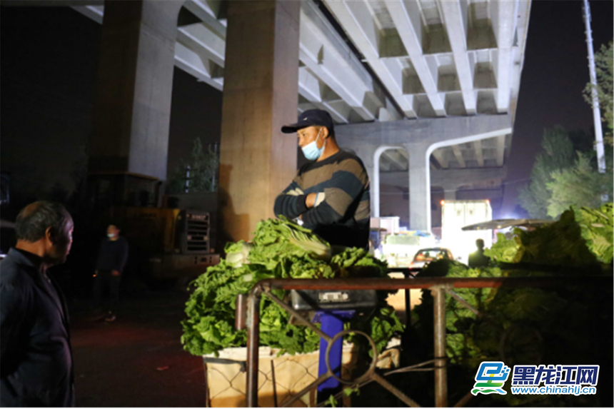 精品蔬菜批发市场图片,哈尔滨薛家蔬菜批发市场