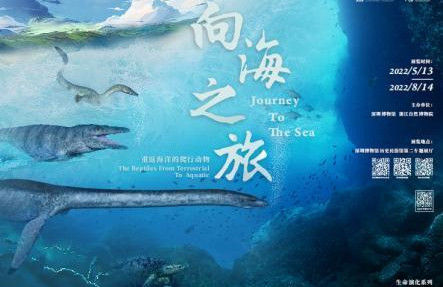 深圳周末艺文指南（7月16、17日）①金陵画史②微观之作③《赵氏孤儿》