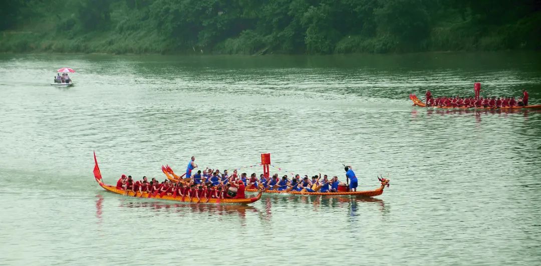 我们的节日端午内容,我们的传统节日端午节三年级