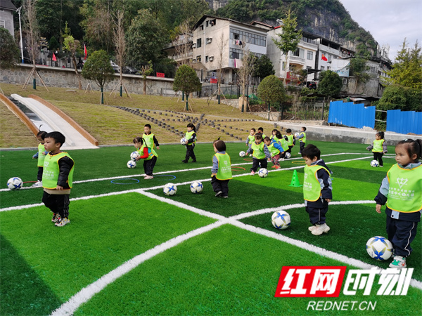 童心向*党**花绽放——张家界市武陵源区索溪中心幼儿园*党**建工作侧记