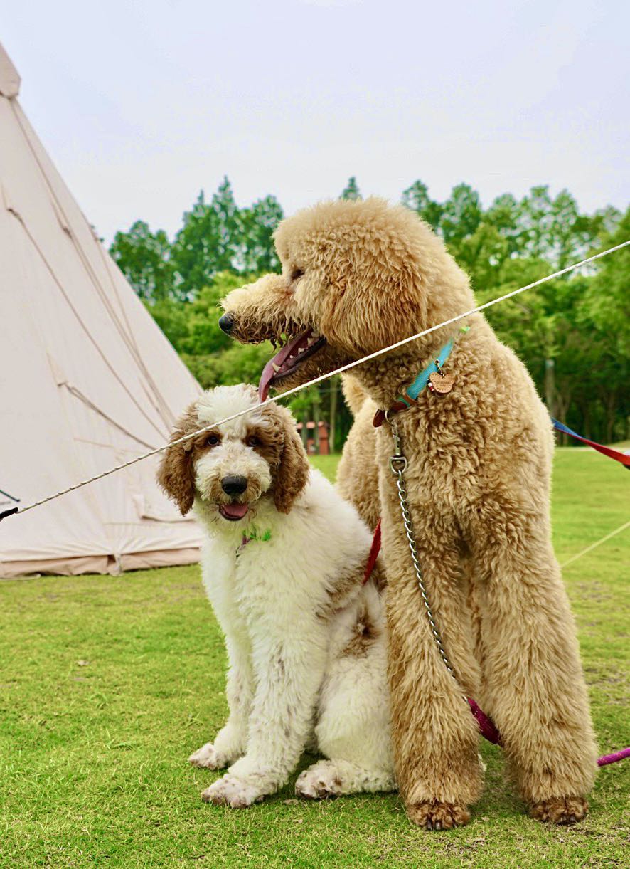 长兴岛郊野公园最新活动,长兴岛郊野公园图片