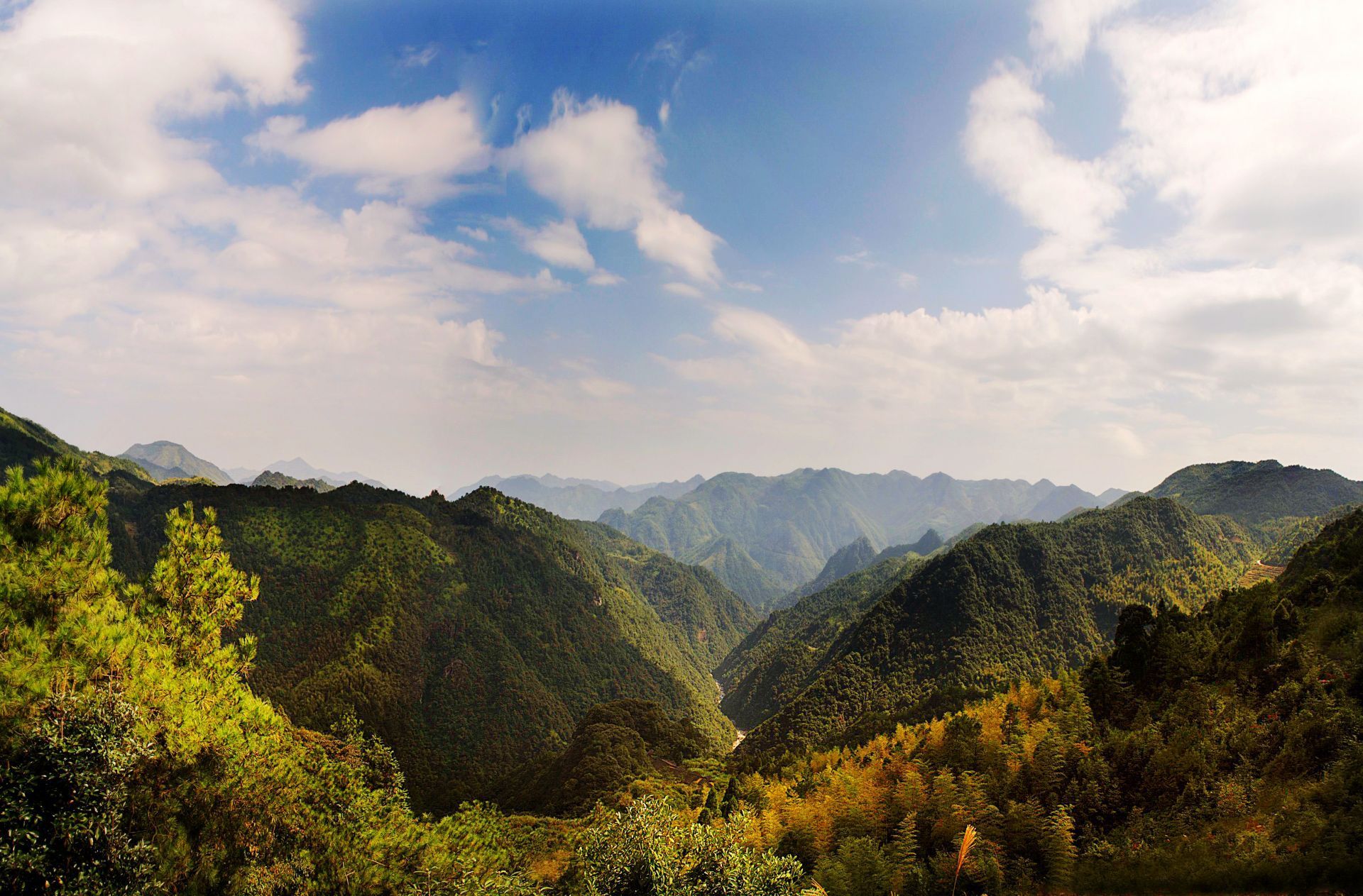 闽东之光丨郑承东:一条路的血色九贝(一)