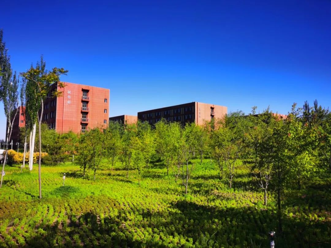 遇见三中邂逅美好