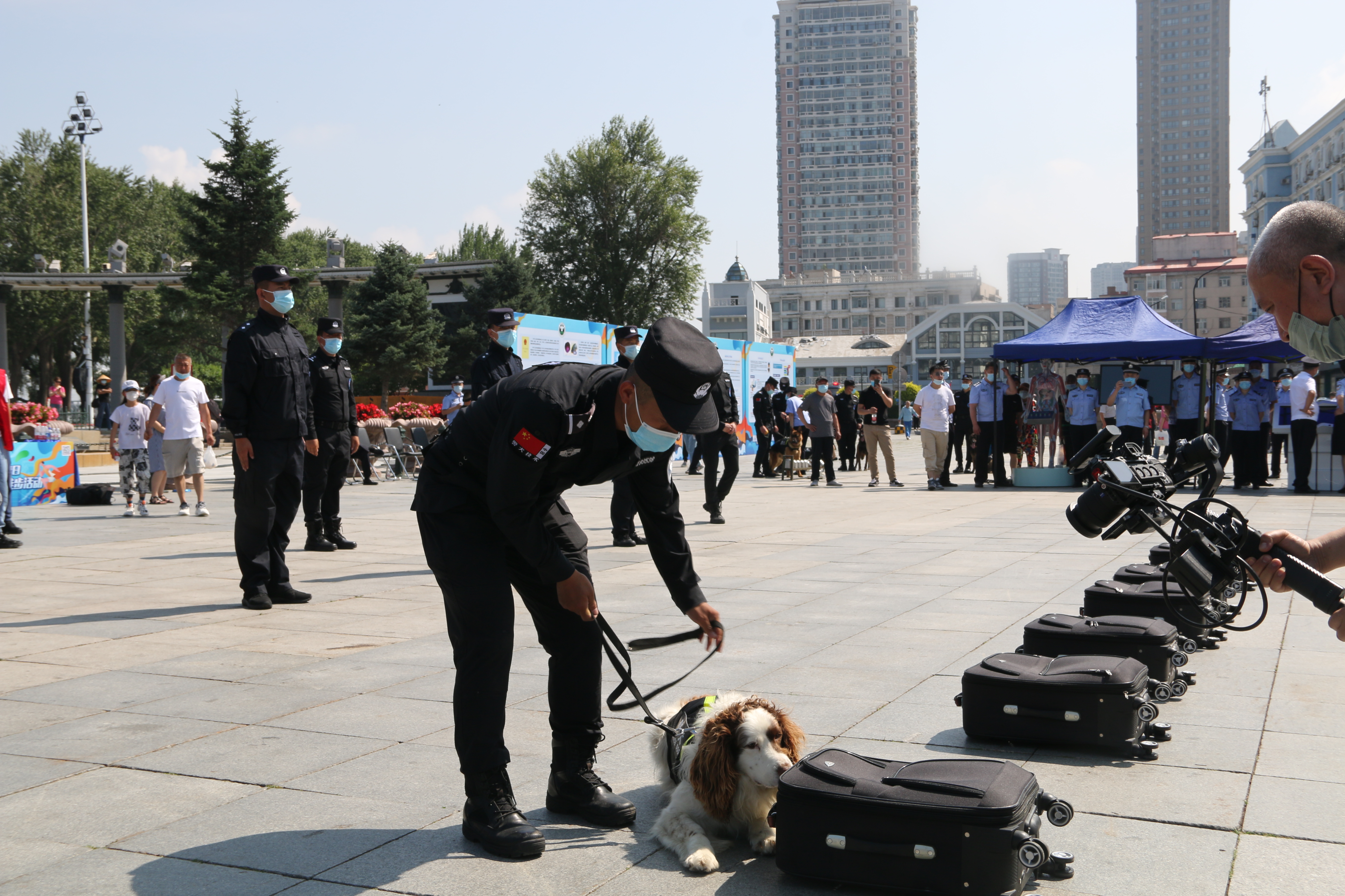 警犬军犬拉风威武霸气场面,警犬出街霸气场面
