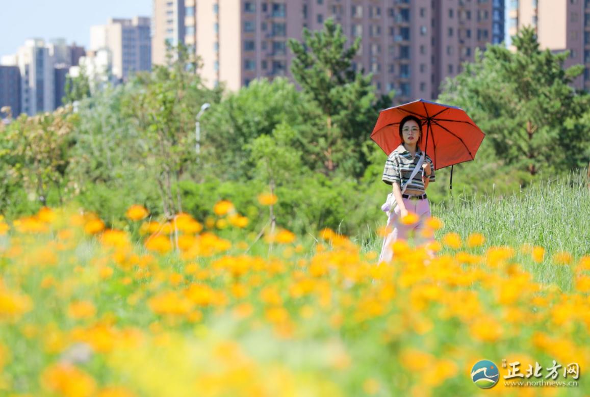婕鍩庝腑,婕鍩庝腑妫灄