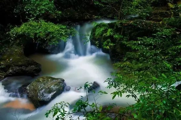 三明100个景点,三明5a级景区有哪些