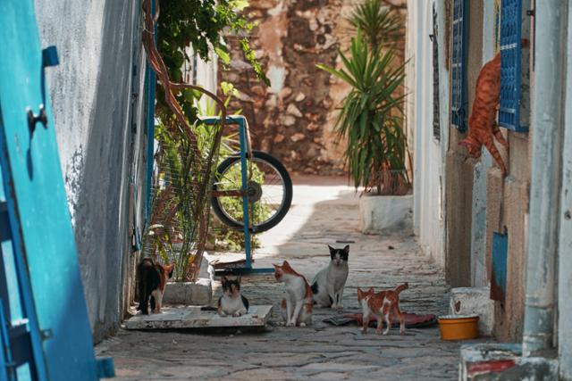 韩国流行语缩写是什么,韩国网络流行词