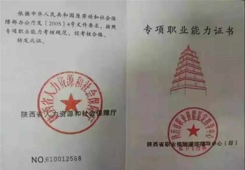 海棠职业技术学院医学美容专业,西安海棠职业学院中医美容科目