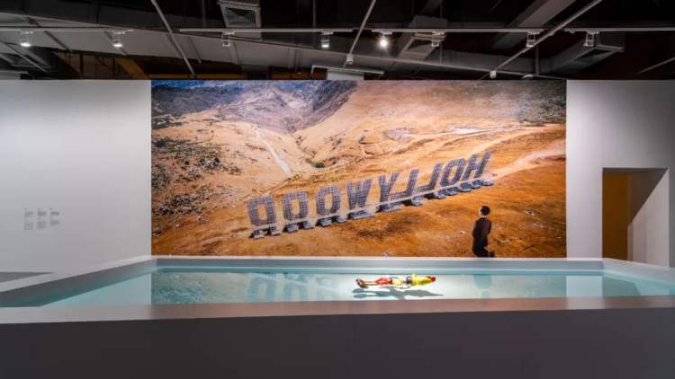 在深圳，我掉进了卡特兰精心设计的“陷阱”……