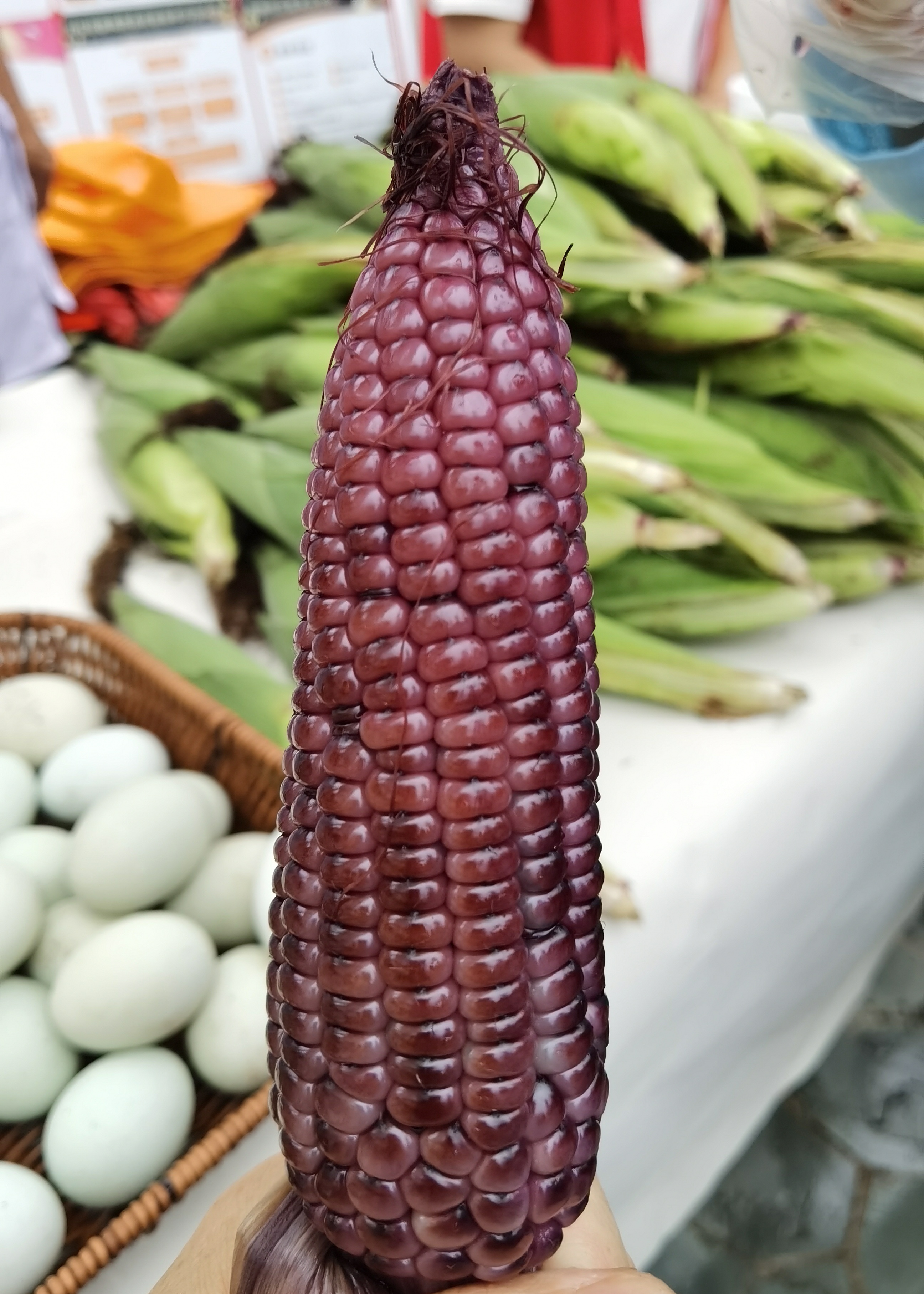 巴南区乡村振兴规划,巴南区振兴乡村