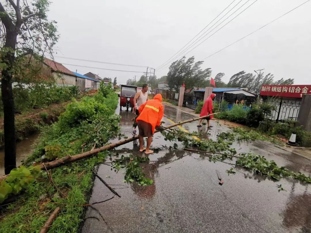 网格员公共服务代办内容,网格内外无小事当好居民贴心人