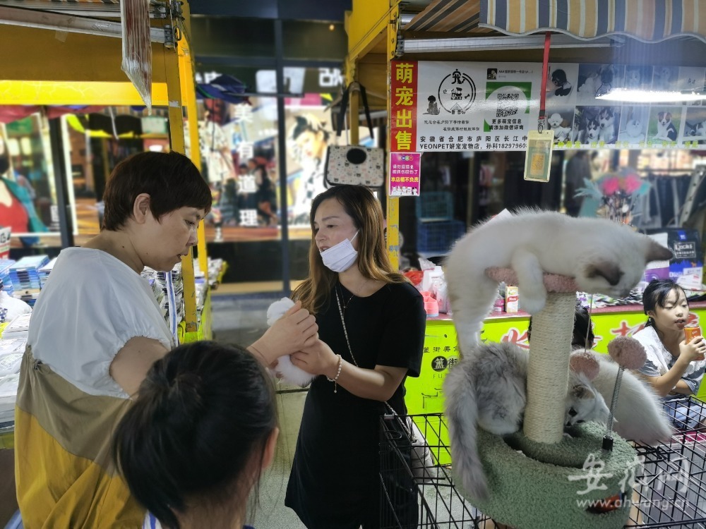 鍚堣偉澶滃競鏃ュ父,瀹夊窘鍚堣偉澶忓澶滃競