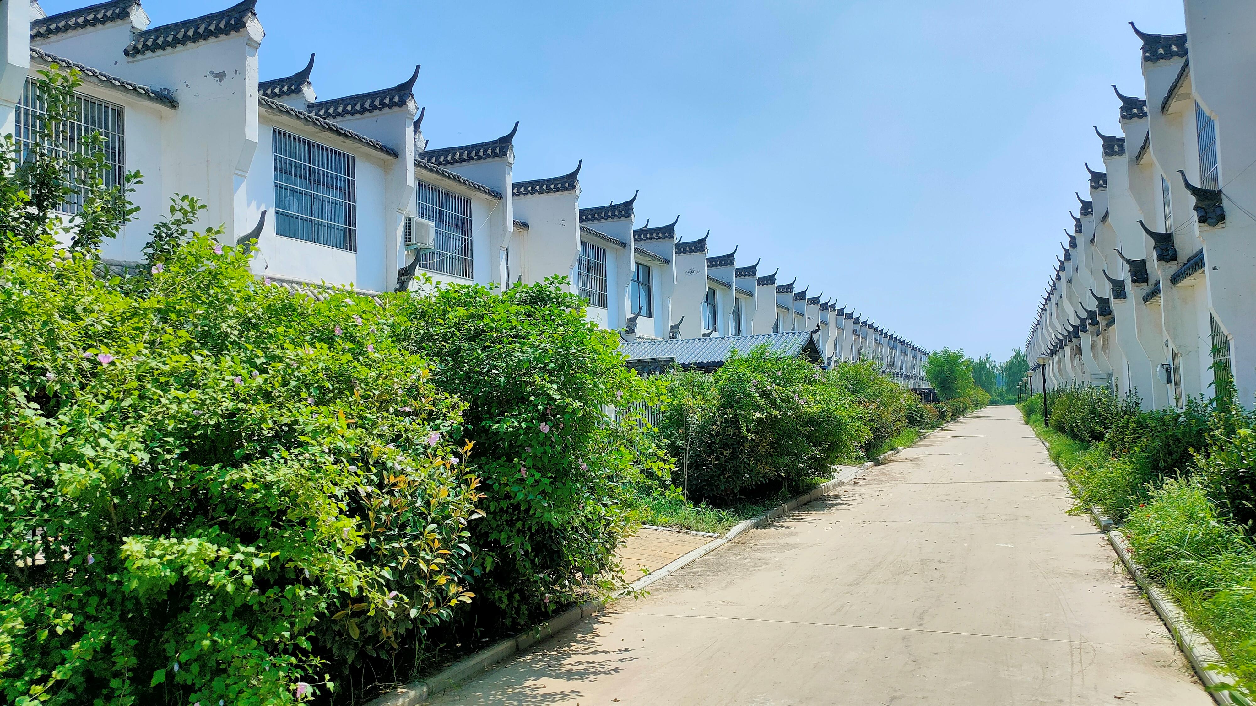 全域土地综合整治助推乡村振兴,关于支持乡村振兴的若干土地政策