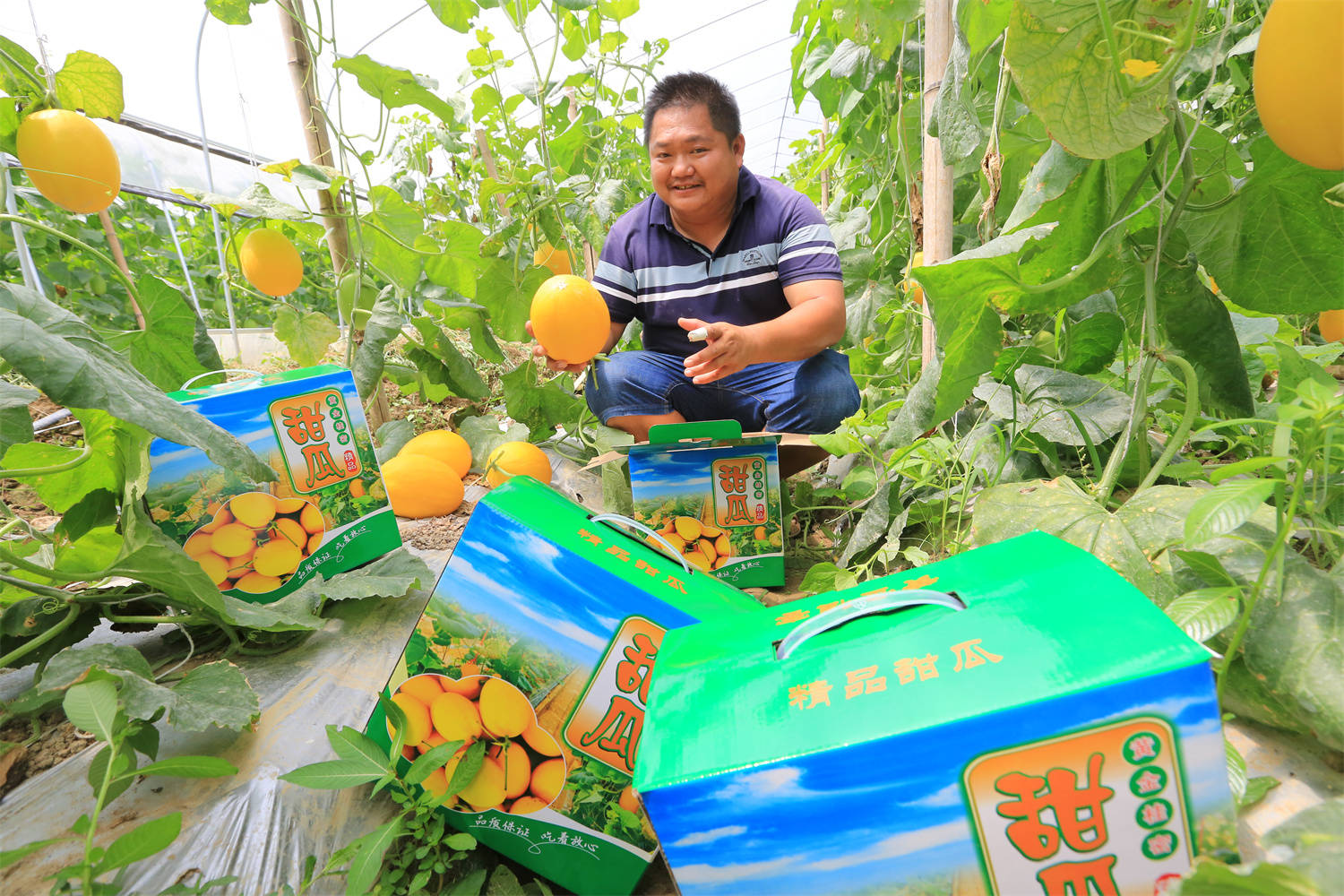 灵川县公平乡：生态转型“转”出助农增收新路子