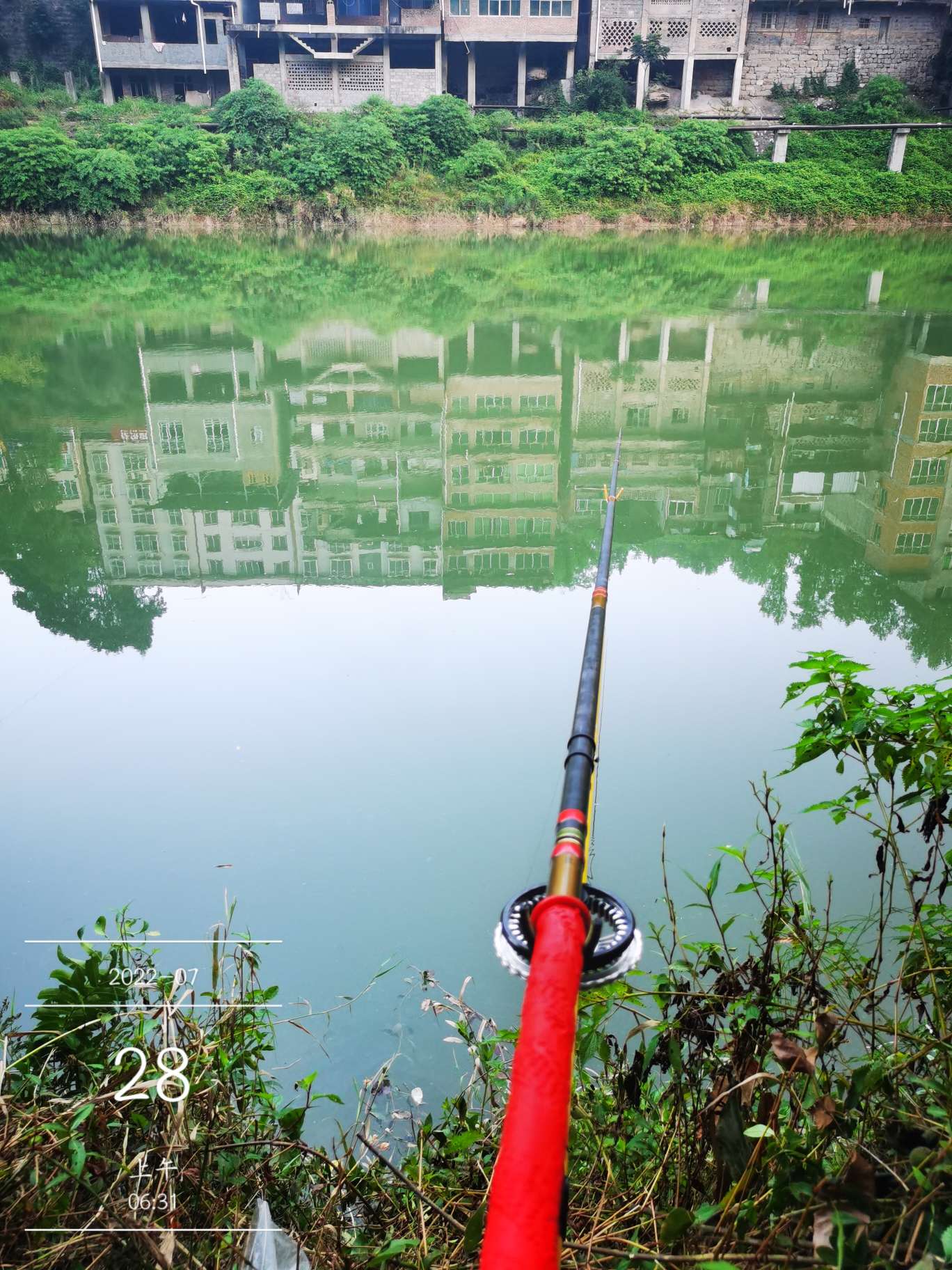 「七月鱼获」骗最憨的巨草！上最憨的洋当