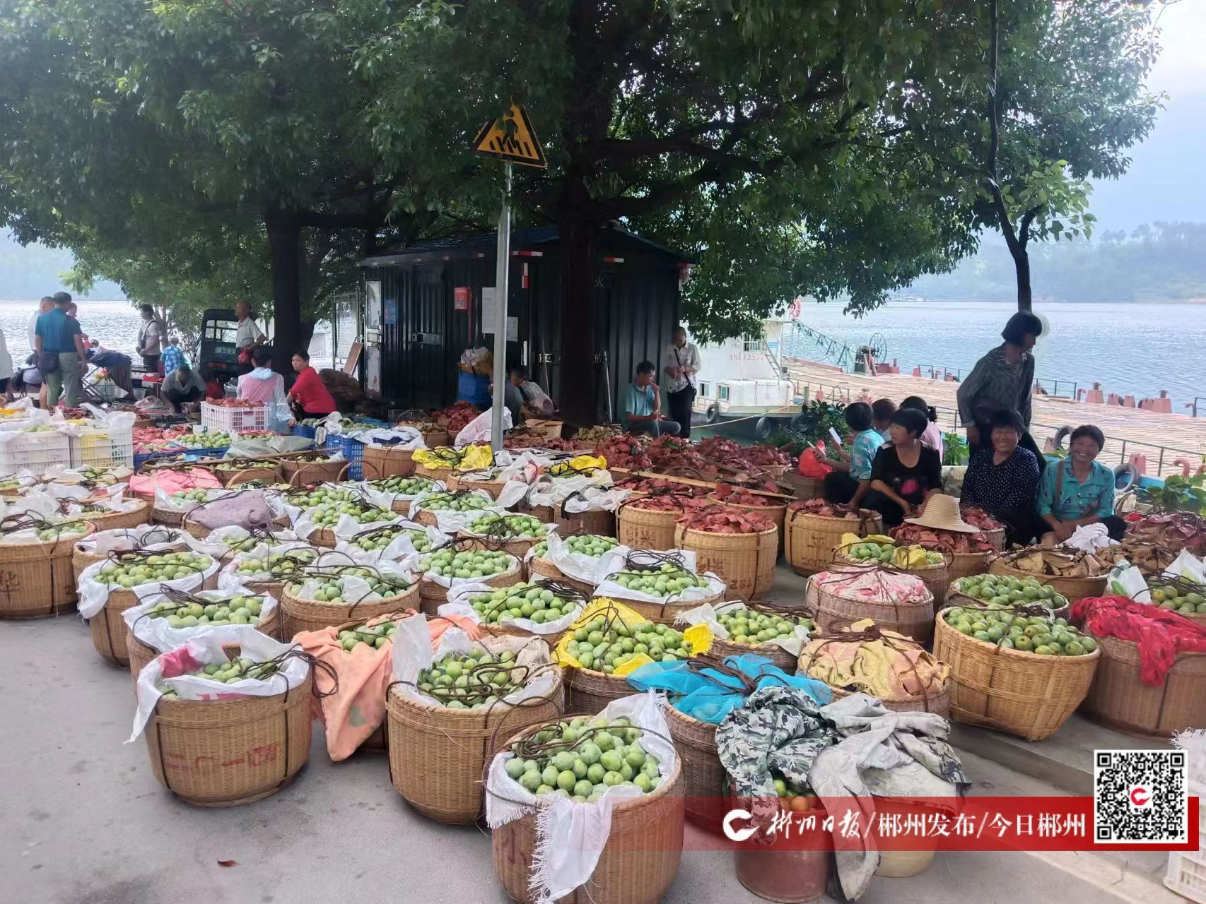 乡村振兴农村电商发展,乡村振兴脐橙电商