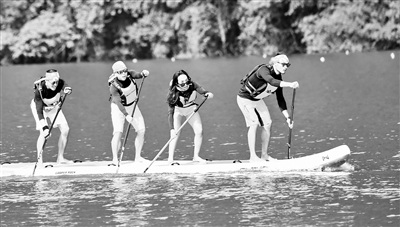 高档陆地冲浪板,陆地冲浪板值得购买吗