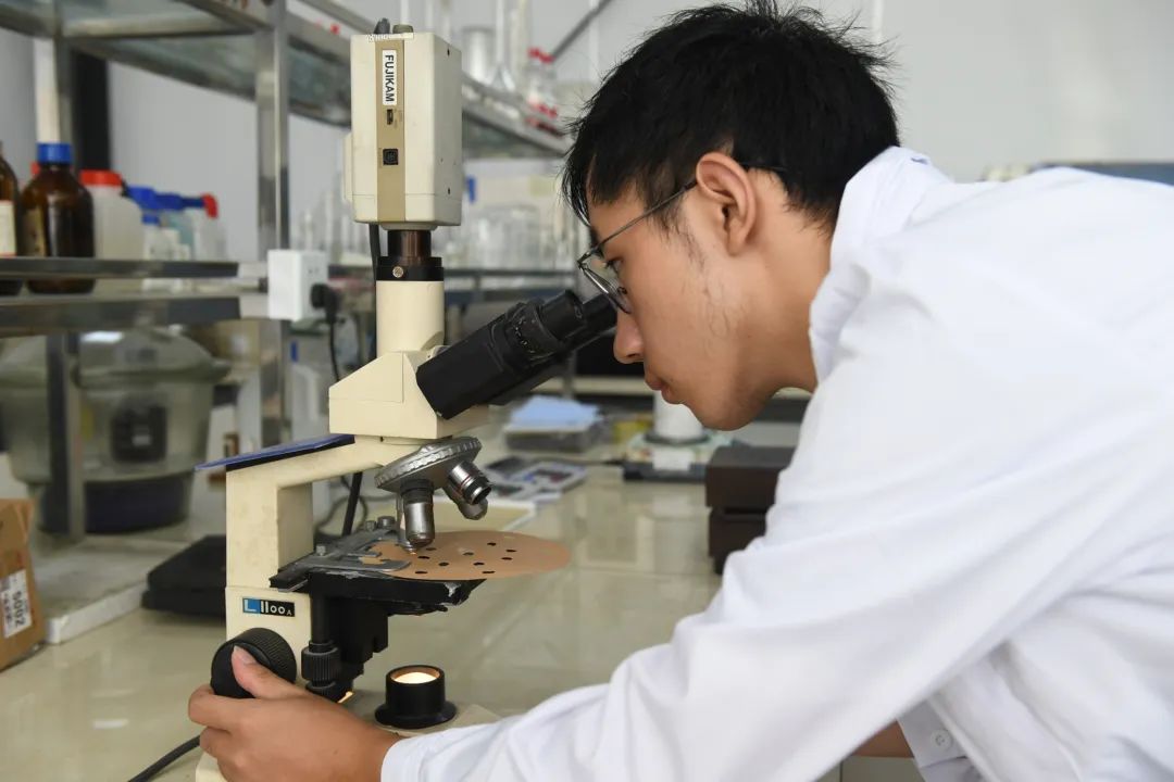 固锐实业：练就“独门绝技”推动国产砂膜替代跑出“加速度”