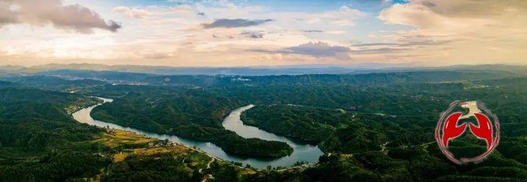 观察丨“青山”可*款贷**变现为“金山”，这个县在全省作出了探索