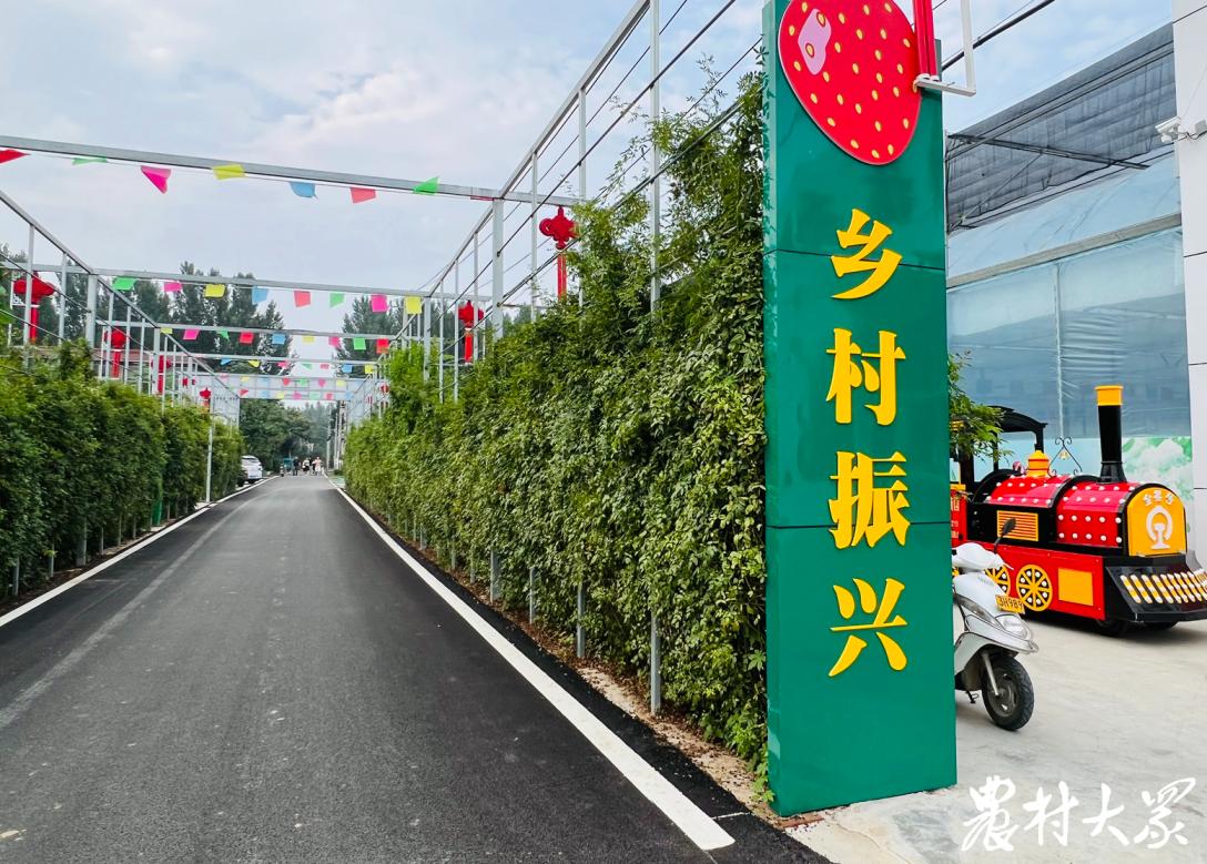 如何管理好大村强村？这个村的办法是：用好网联全村人的微信群