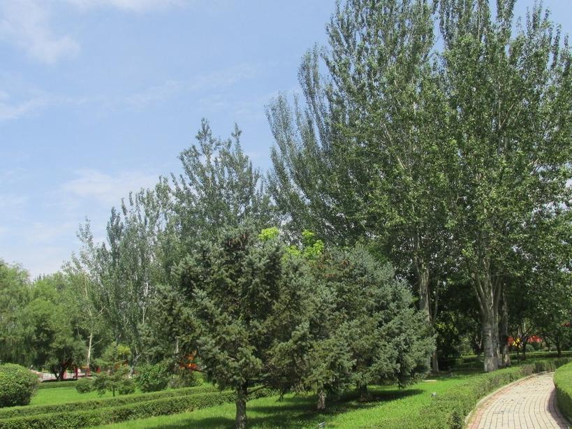 坊间历史,坊间传奇电视剧