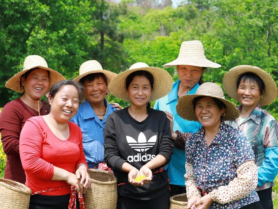 非凡十年强军征途,跟党奋进新征程巾帼建功新时代