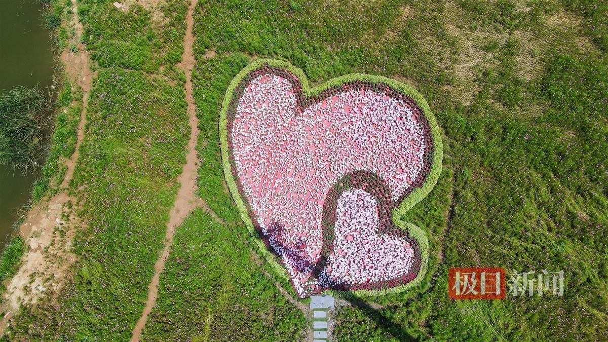 汉阳区规划改造项目,汉阳城区改造