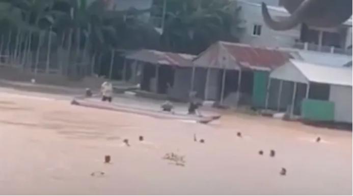 柬埔寨人口贩卖事件,柬埔寨贩卖越南人口案件