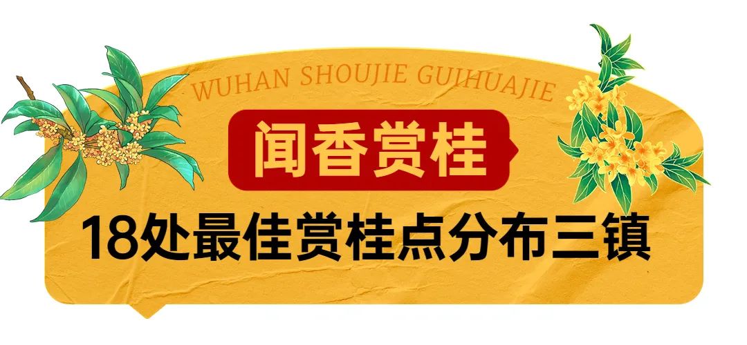 武汉花博汇花展,武汉花展最新消息