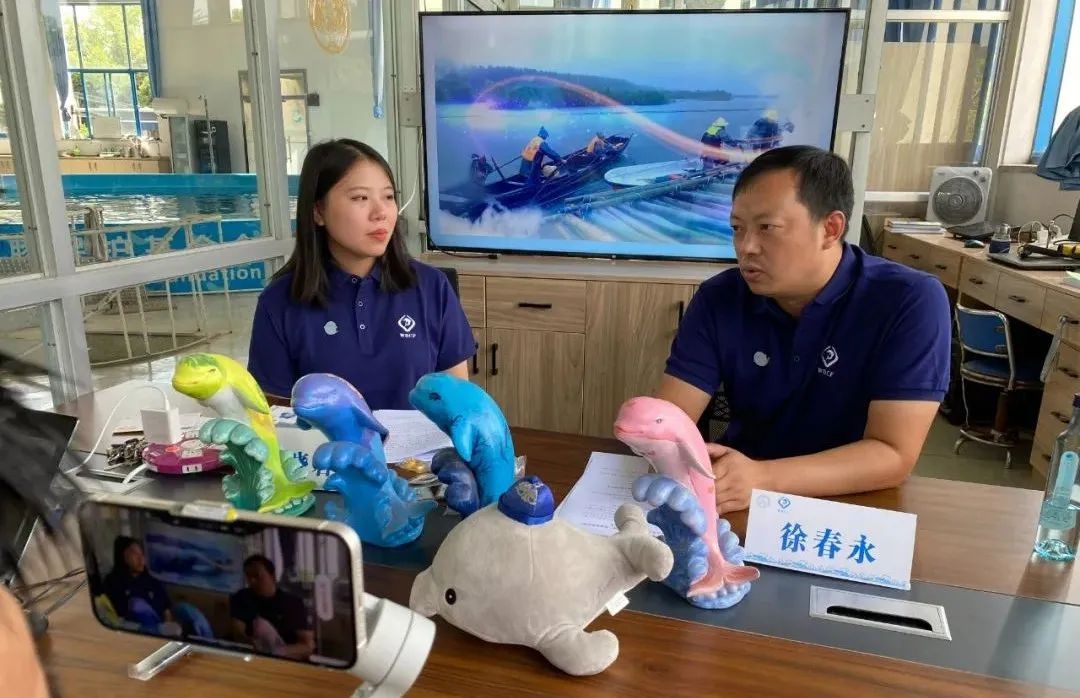 寄一只“江豚”给你，请查收