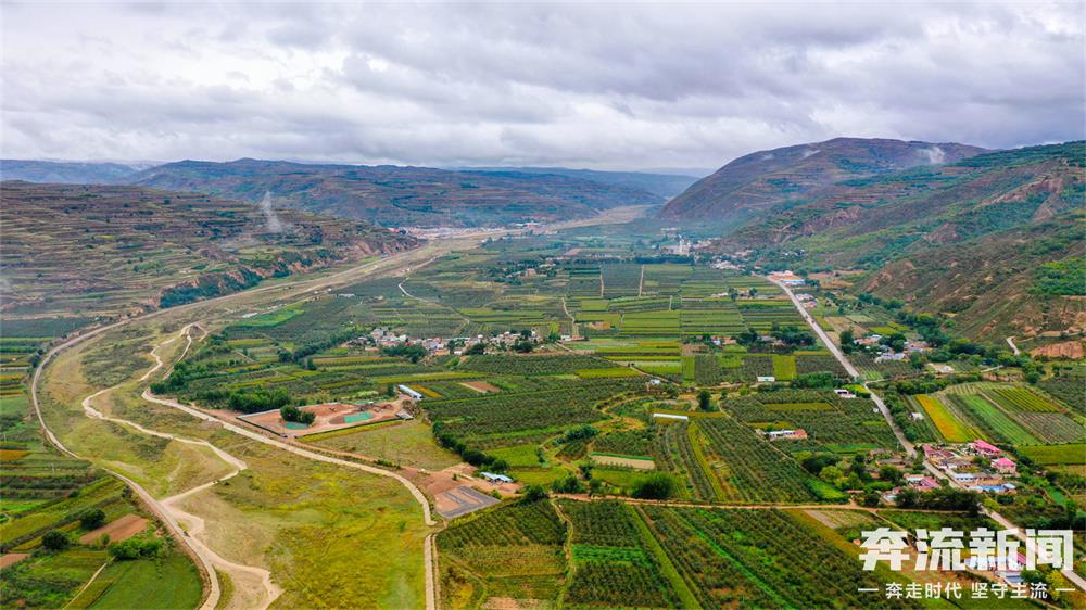 “致富能手”杨文卓:苹果红了,日子也红火了