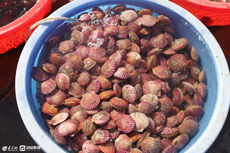 7月份日照海鲜大概价位,日照国庆海鲜价格