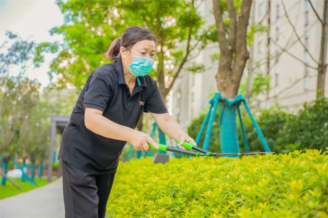 产品力时代品质回归,产品兑现力