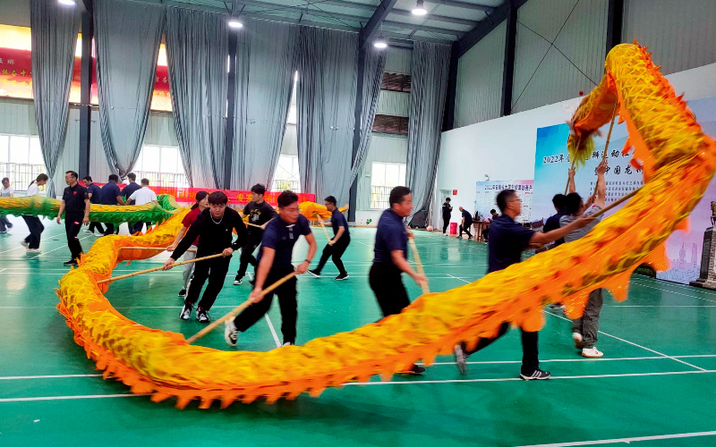 2022年中国龙狮运动公益万里行暨安徽省舞龙舞狮教练员、裁判员培训班在我校圆满举办