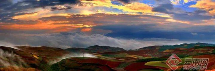 昆明最美的秋天,别眨眼带你看花海