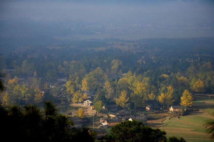 昆明最美的秋天,别眨眼带你看花海