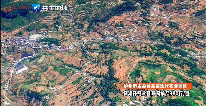 川蜀大地“丰”景正当时