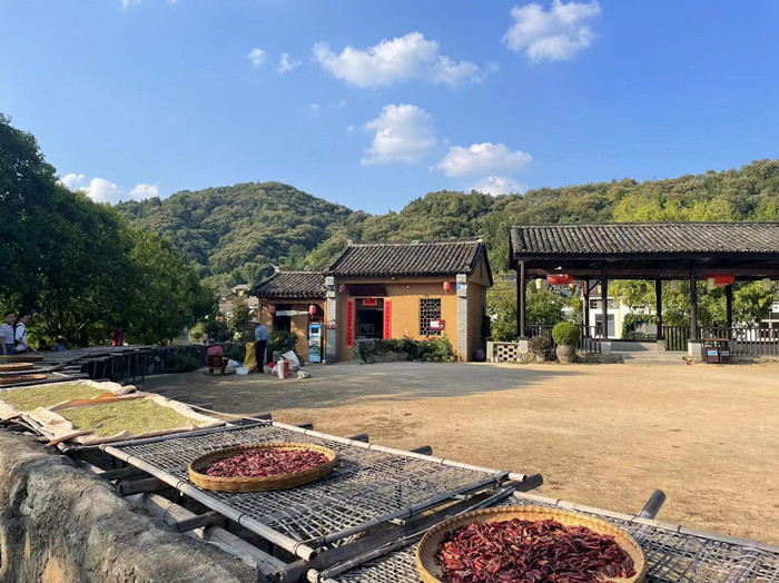 新县助推乡村振兴工作举措,河南尽锐出战筑牢乡村振兴根基