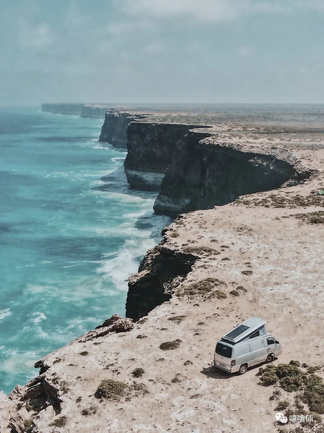 在澳洲摘葡萄的女孩,22岁女生澳洲打工度假