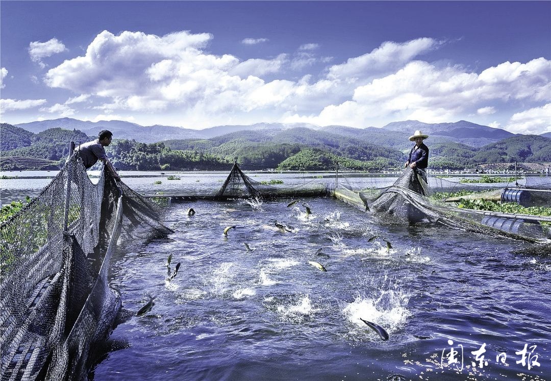 黄沟非凡十年,非凡十年飞跃新如皋